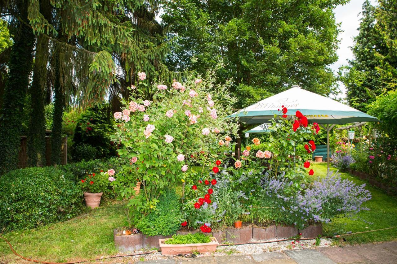 Hotel Zur Post Mulheim an der Mosel Dış mekan fotoğraf