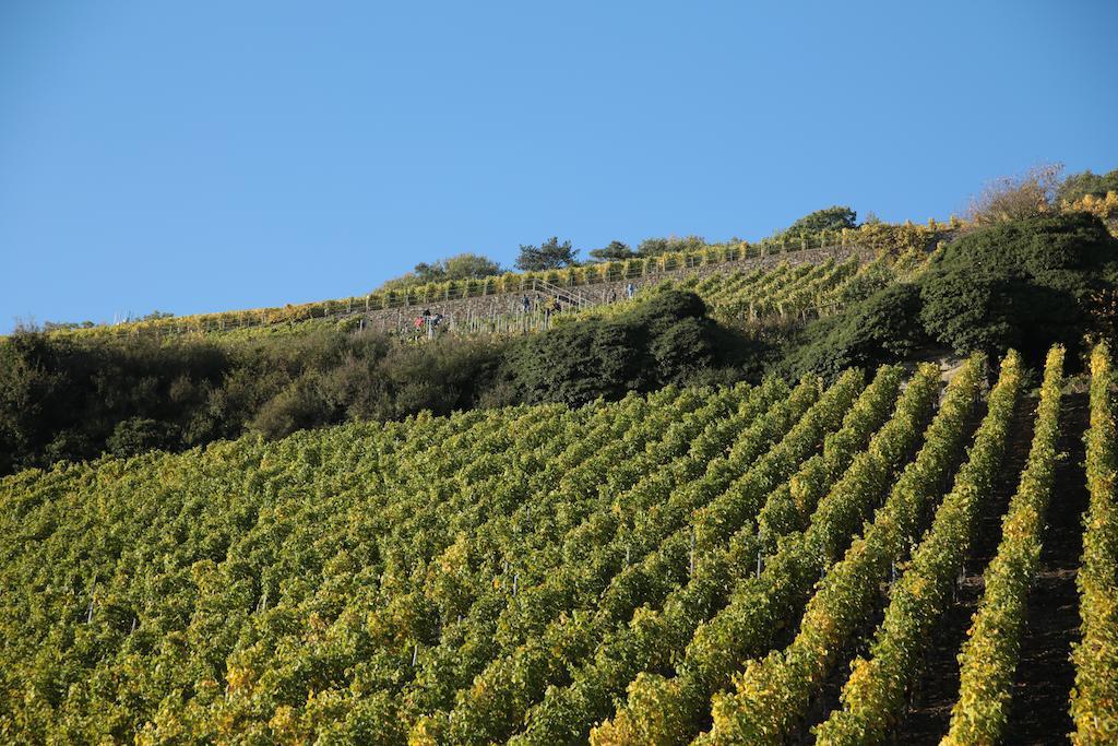 Hotel Zur Post Mulheim an der Mosel Dış mekan fotoğraf