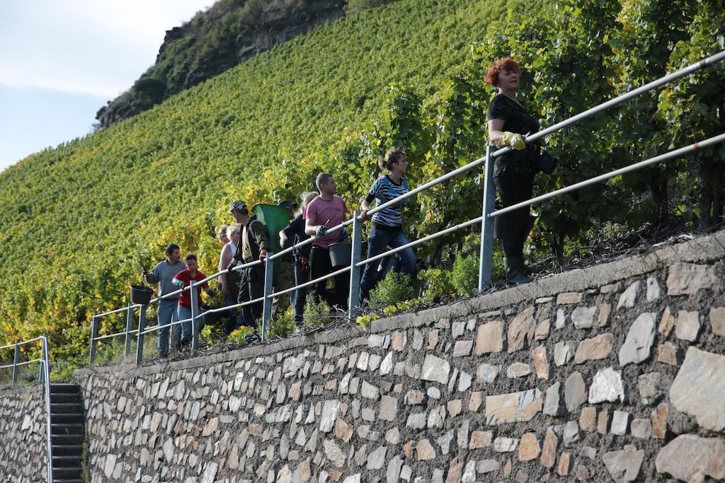 Hotel Zur Post Mulheim an der Mosel Dış mekan fotoğraf
