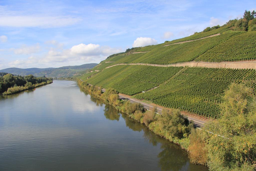 Hotel Zur Post Mulheim an der Mosel Dış mekan fotoğraf