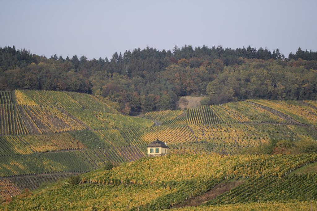 Hotel Zur Post Mulheim an der Mosel Dış mekan fotoğraf